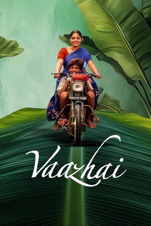 MoviesNation Vaazhai 2024 Hindi+Tamil Full Movie DSNP WEB-DL 480p 720p 1080p Download